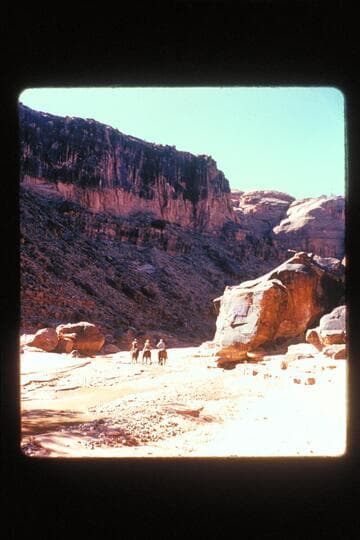 Three horses; Navajo Canyon Trail