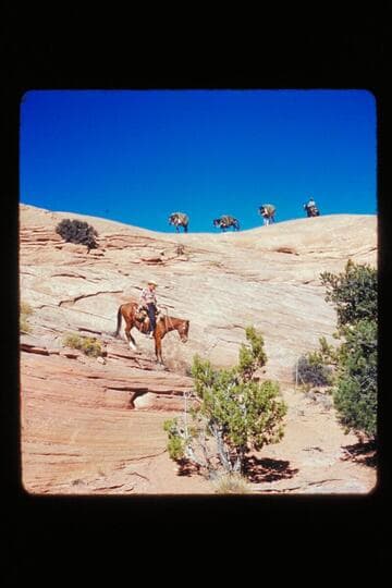 Pack horses on skyline and Archeyes