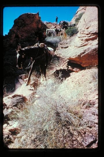 Trail in joint between Dead Center Camp and mouth of Nasja Creek