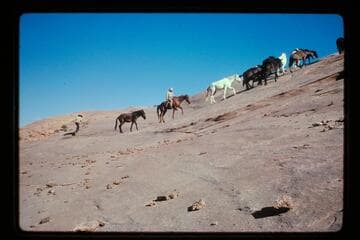 Driving stock to range above Dead Center Camp