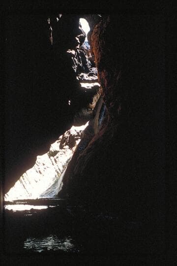 Fall in cave; Travertine Creek