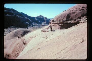Dan builds the ledge trail near top into basin north of Sid Whiskers Butte