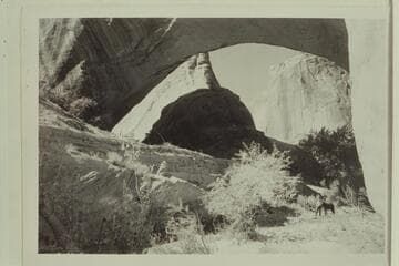 Natural bridge of Navajo sandstone, Willow Creek.  Span 185 feet, height to girder 76 feet