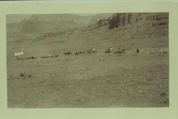 Camping at the Marble Canyon bridge dedication.  Print from Freeman collection