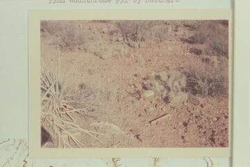 Parachutists Camp on Tonto Platform below Tuna Creek