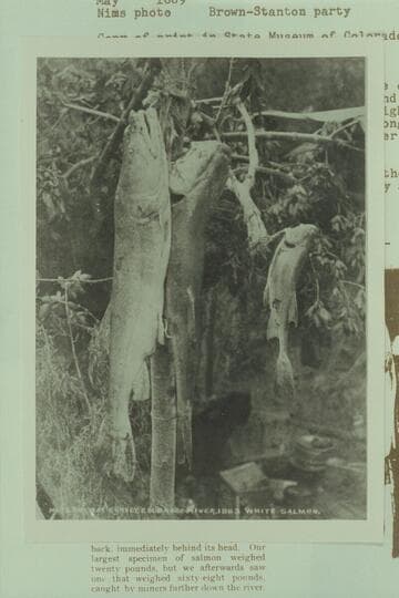 White Salmon.  Brown-Stanton party