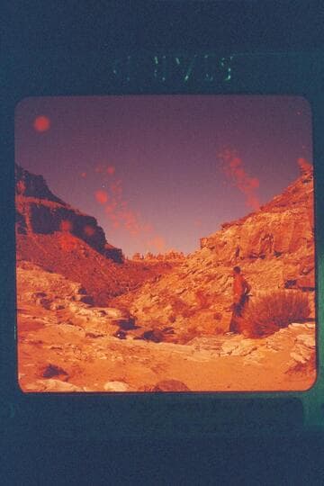 Drop - Stand Rx - Kent [Frost]