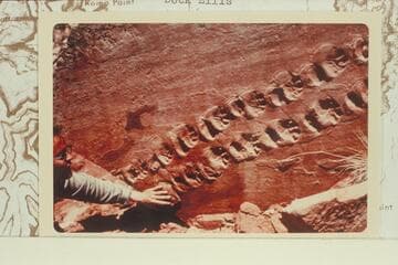 Don Davis and fossil tracks in blovk of Coconino below Brahma