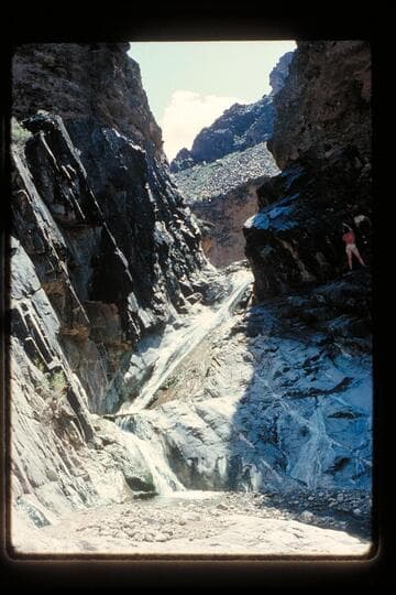 Fall in Travertine Creek