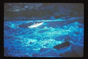 "Rapid Eater"; Vulcan Rapids