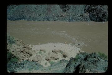 Yaks on beach; Travertine Creek