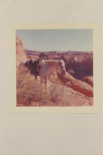 Across the mouth of Nasja Creek.  The anticline at the left is at the area near the mouth of Cha Canyon.  The flat butte at upper right is beyond the mouth of Cha Canyon