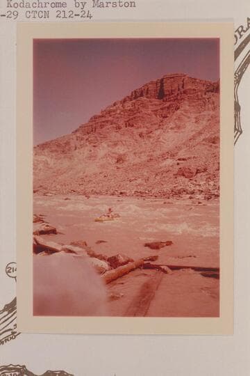 Jorgen Visbak ends run of Rapid No. 1