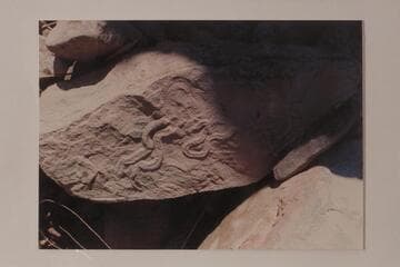 Up the Colorado River about five miles above the Confluence.  Taken during a cruise 1966, Sep.  Snake Fossil