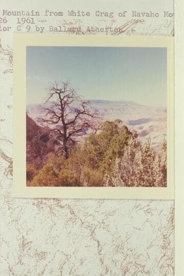 Fifty Mile Mountain from White Crag of Navajo Mountain