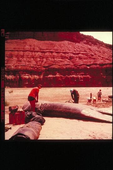 Georgie and Mr. Georgie.  Paria Riffle