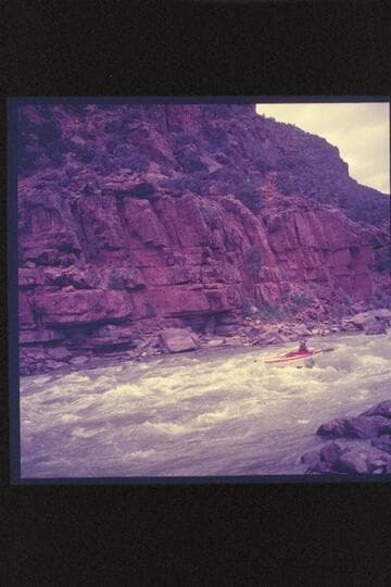 A. K. Reynolds in Disaster Rapid