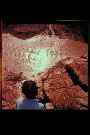 Badger Creek Rapid.  Lees Ferry gauge:  104,000 cfs