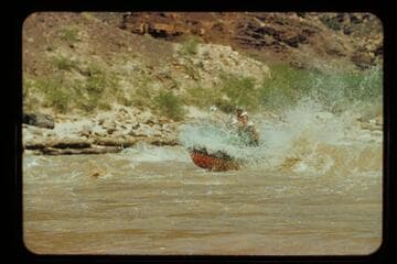 "Cactus"; Chuar Rapids