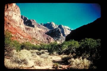 Up Red Canyon from river, Mile 76