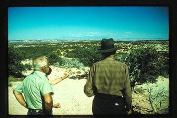 Maze from near Frenchy Spring