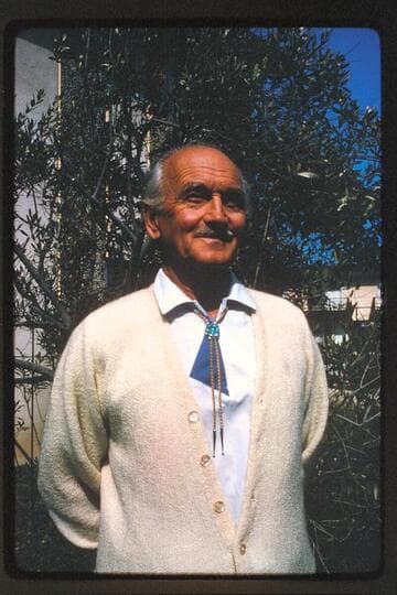 Aleson 70th birthday