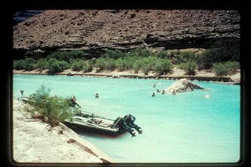Swimming in Little Colorado River