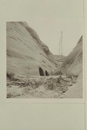 Up the southwest fork of 73.6 from above the first 20-ft. drop below the trail