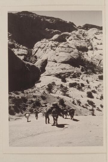 Down into northeast fork of 73.6--Lehi Canyon