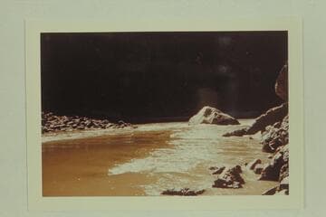 President Harding Rapid