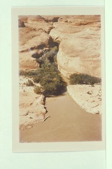 Mouth of Cane Breek--Glen Canyon