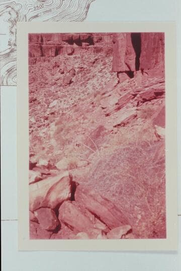 Trail construction on the Blue Springs Trail
