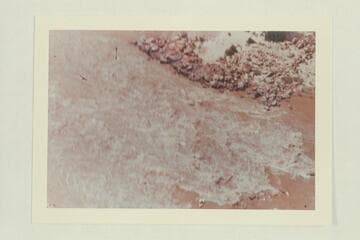 One of the Nevills sadirons in the tongue of Badger Creek Rapid