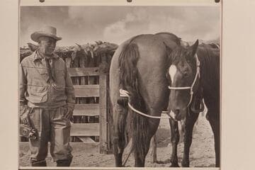This just isn't the hitch used on horses in the East- Frank Masland, expert on horse flesh.  Ready for leaving Navajo Mountain Trading Post for Navajo Canyon
