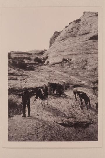 Trail over slickrock west of Nasja Creek