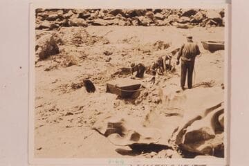 The Dusty Dozen lining 25 Mile Rapid