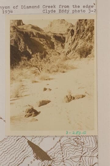 Up the canyon of Diamond Creek from the edge of the river