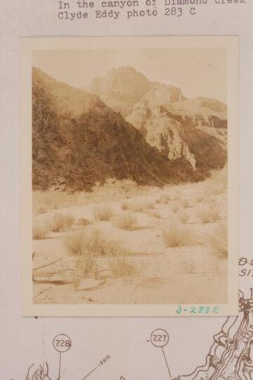 In the canyon of Diamond Creek