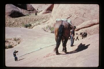 Down the trail into 71.5