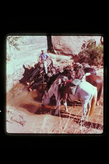 Watering in Nasja Creek