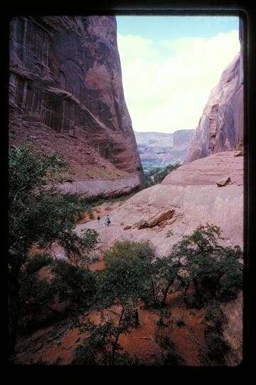 Mile 132.35, left bank