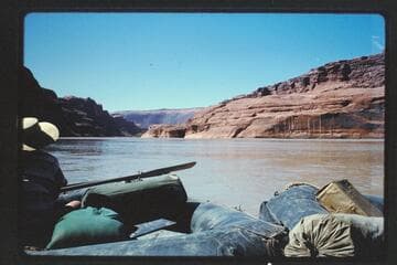 Down to Tapestry Wall