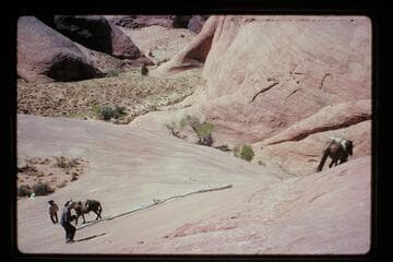 Down trail into 71.5