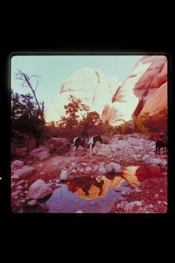 Waterhole in Nasja Creek