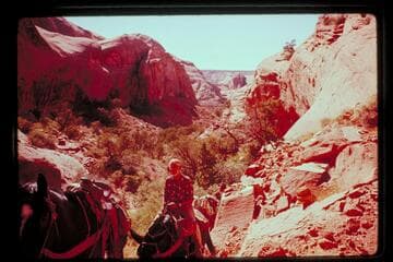 Trail north of Cha Butte between Bald Rock and Cha Creeks