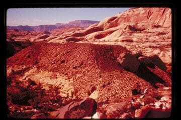 Down Black Water Creek