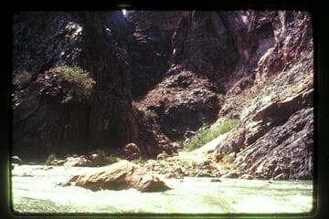 Hance Cr., Sockdologer R