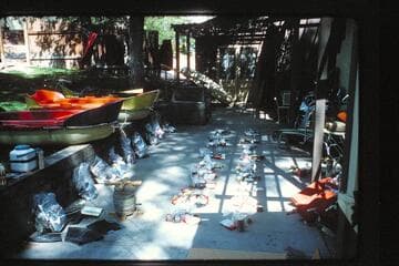 Yaks at Belknap house