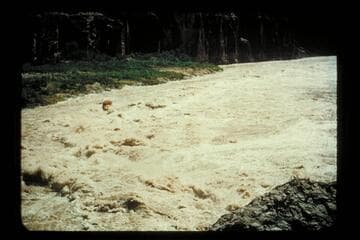 Pull out of Lava Falls