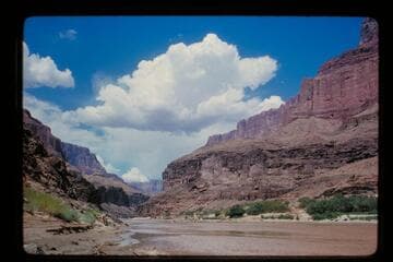 Up from above mouth of Chuar Creek